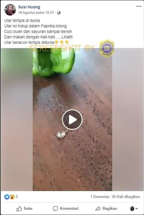 Ada Ular Beracun dalam Paprika?