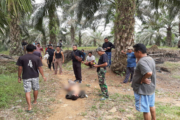 Pria Bejat Hamili Anak Kandung Tewas Didor Polisi di Kebun Sawit
