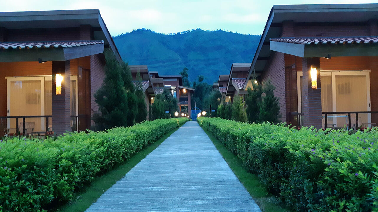 Hotel dengan View Keren di Dekat Gunung Bromo