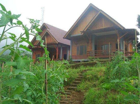 Hotel dengan View Keren di Dekat Gunung Bromo