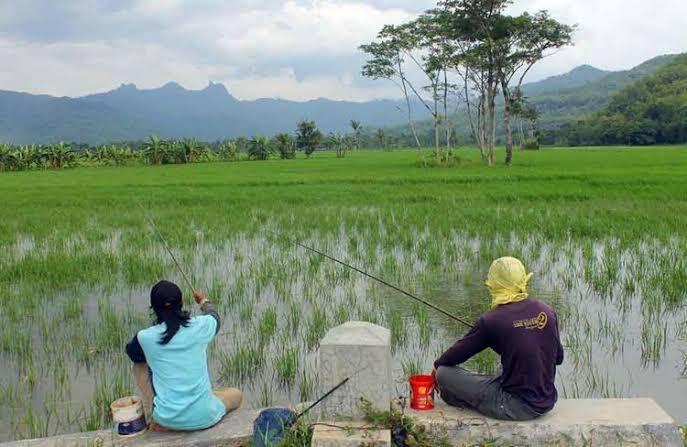 Memancing Bersama Komunitas, Seru Banget (Pantengin Aja!)