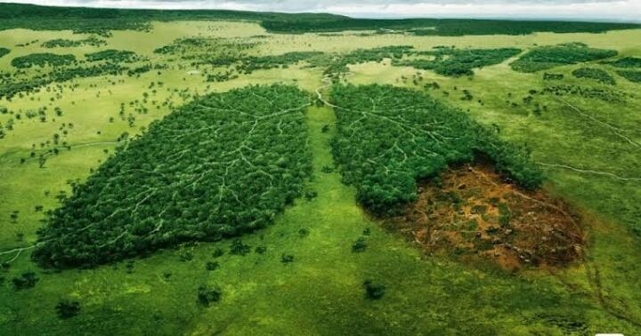 Kota Jakarta Akan Digantikan Oleh Pulau Kalimantan Sebagai Ibu Kota Negara Yang Baru