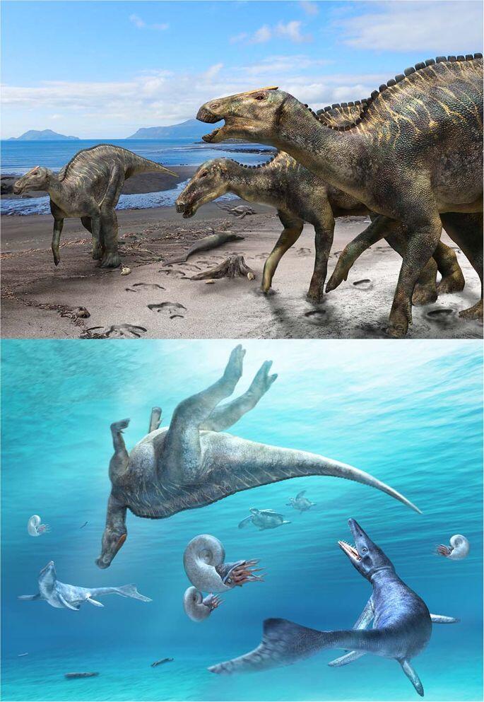 WOW! Penampakan Dinosaurus &quot;DEWA NAGA&quot; Yang Fosilnya DITEMUKAN DI Jepang!