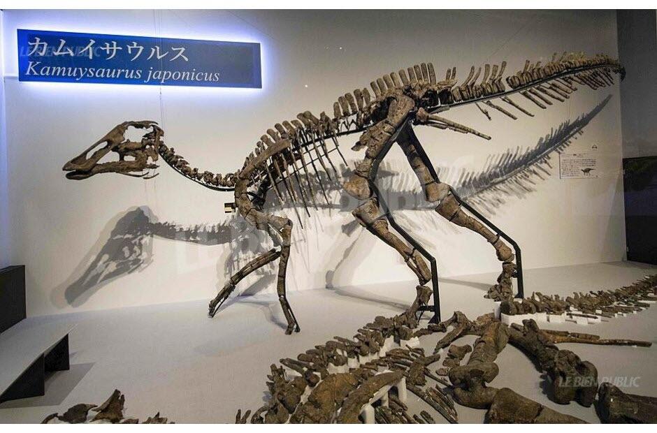 WOW! Penampakan Dinosaurus &quot;DEWA NAGA&quot; Yang Fosilnya DITEMUKAN DI Jepang!