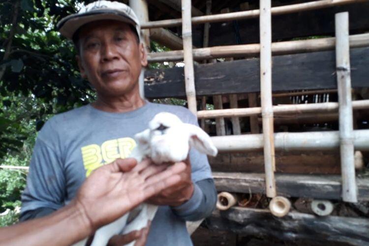 Anak Kambing Bermata Satu di Bogor Bikin Merinding Warga Saat Melihatnya