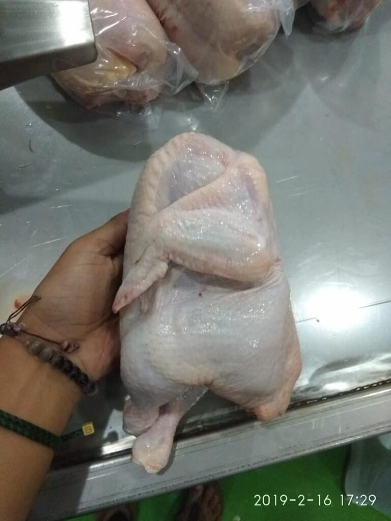 Suka Makan Ayam? Penasaran Gimana Proses Dari Hidup Sampai Mati nya?