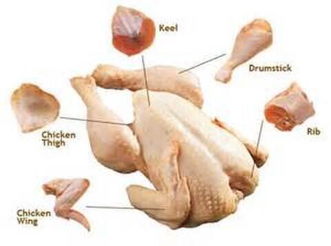 Suka Makan Ayam? Penasaran Gimana Proses Dari Hidup Sampai Mati nya?