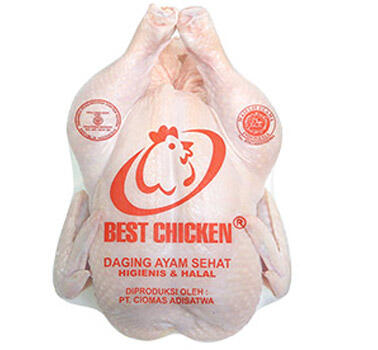 Suka Makan Ayam? Penasaran Gimana Proses Dari Hidup Sampai Mati nya?