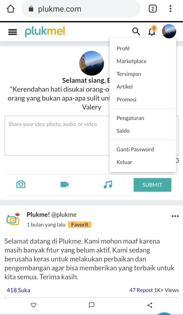 Dibalik Bangkrutnya Situs Plukme!