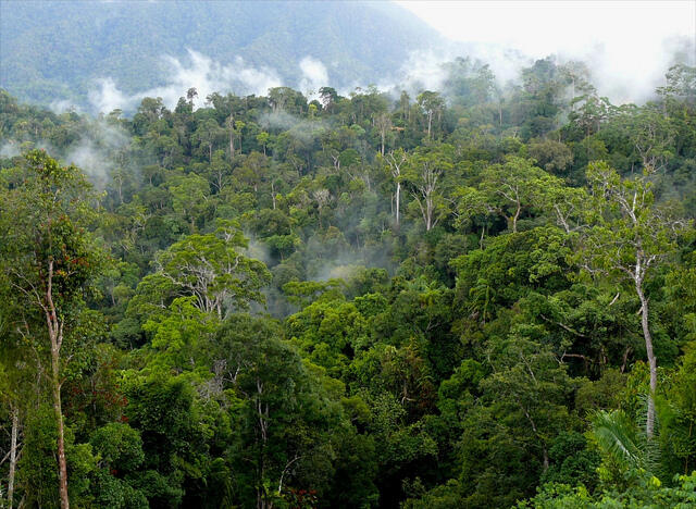 Masa Depan Ibu Kota Dan Pulau Borneo