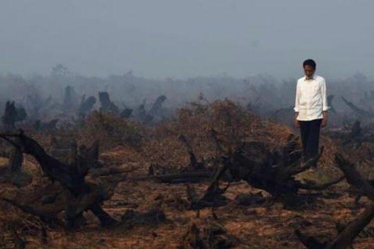 Legislator Riau Minta Jokowi Tangani Hutan Terbakar dan Kabut Asap