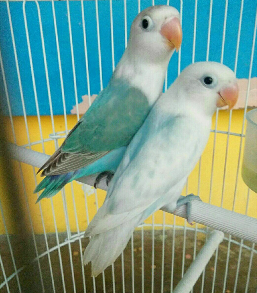Asiknya Berkomunitas