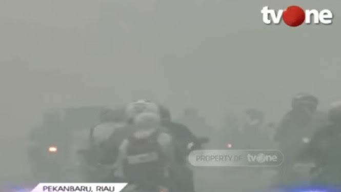 Riau dilanda Kabut Asap. Kondisi Sudah Berbahaya!