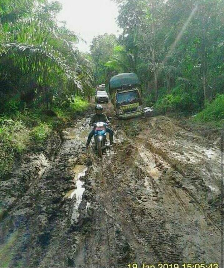 Kalimantan Akan Jadi Ibu Kota? Jangan Rusak Hutan Kami!