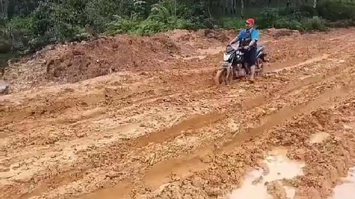 Kalimantan Akan Jadi Ibu Kota? Jangan Rusak Hutan Kami!