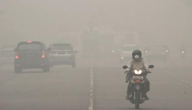 Asap Riau dalam Kategori Bahaya, Seorang Pengendara Nyaris Pingsan di Jalan!