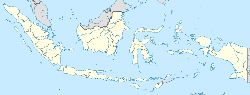 Kalimantan Terpilih Ibu Kota, Paru-Paru Dunia Tinggal Kenangan?