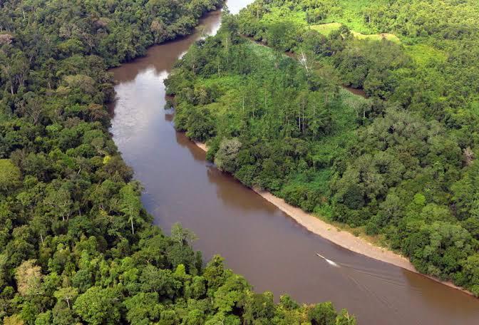Peran Penting Sungai Mahakam Di Ibukota Yang Baru Nanti