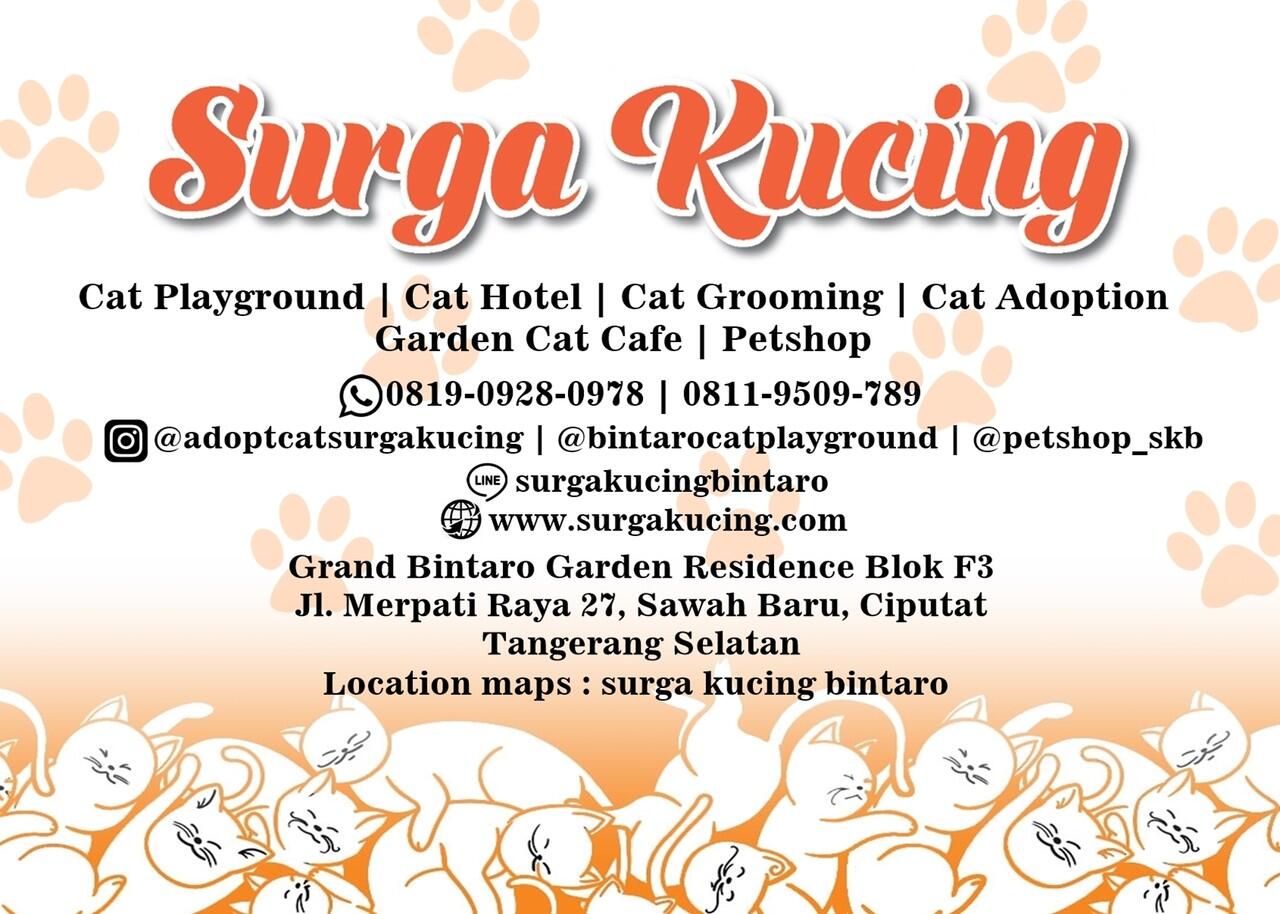 Cat Hotel Surga Kucing Bintaro - Penitipan Kucing