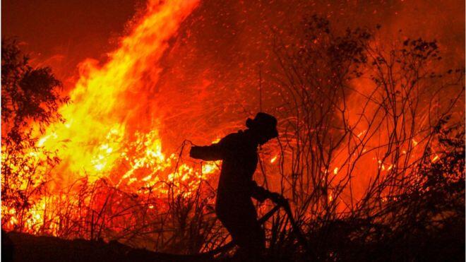 Ibukota akan Pindah ke Kalimantan, Apakah bisa Merusak Alam ?