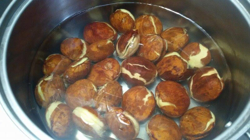 Cara Memilih dan Menyimpan Jengkol untuk Membuat Semur Jengkol 