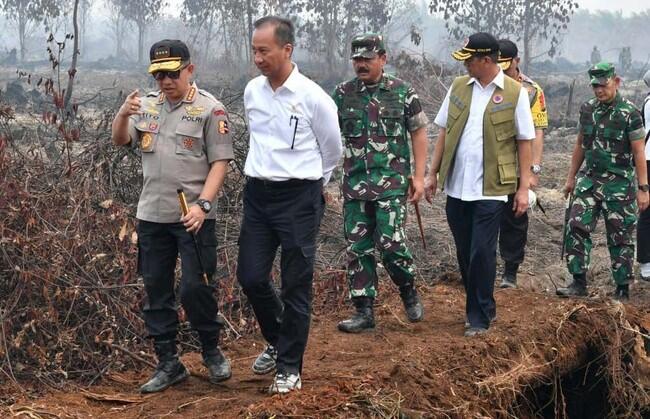 Jokowi Cek Kebakaran Hutan di Riau, Begini Kondisinya