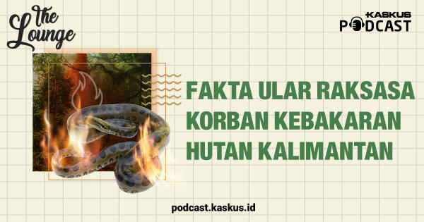 Fakta Ular Raksasa Korban Kebakaran Hutan Kalimantan