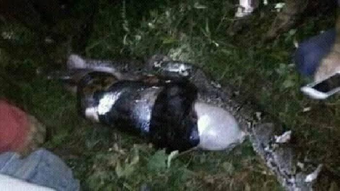 Kai Antung dan Ular Tambularas