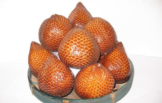 5 Salak Unggulan di Indonesia, Yang Mana Favorite GanSist?