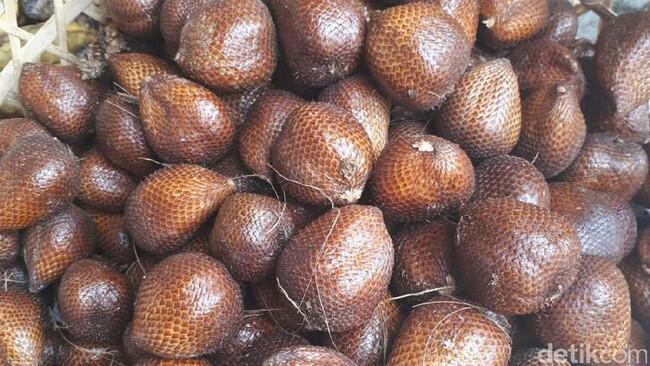5 Salak Unggulan di Indonesia, Yang Mana Favorite GanSist?