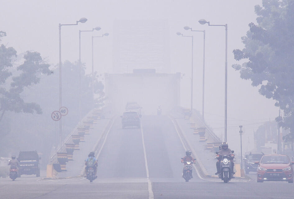 Kaltim Ibukota Baru? Ini Opini Jujur Ane Sebagai Warga Negara