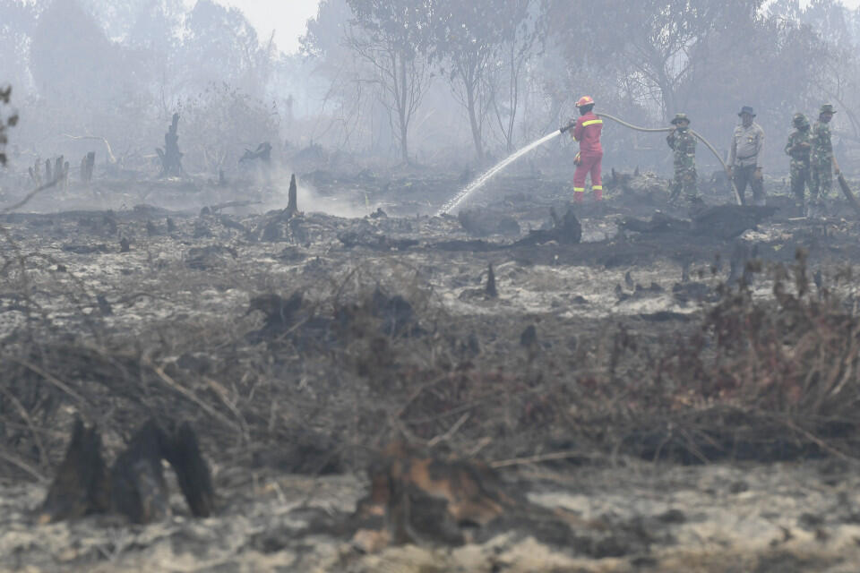 Polda Sumsel Proses 23 Tersangka Pembakar Lahan