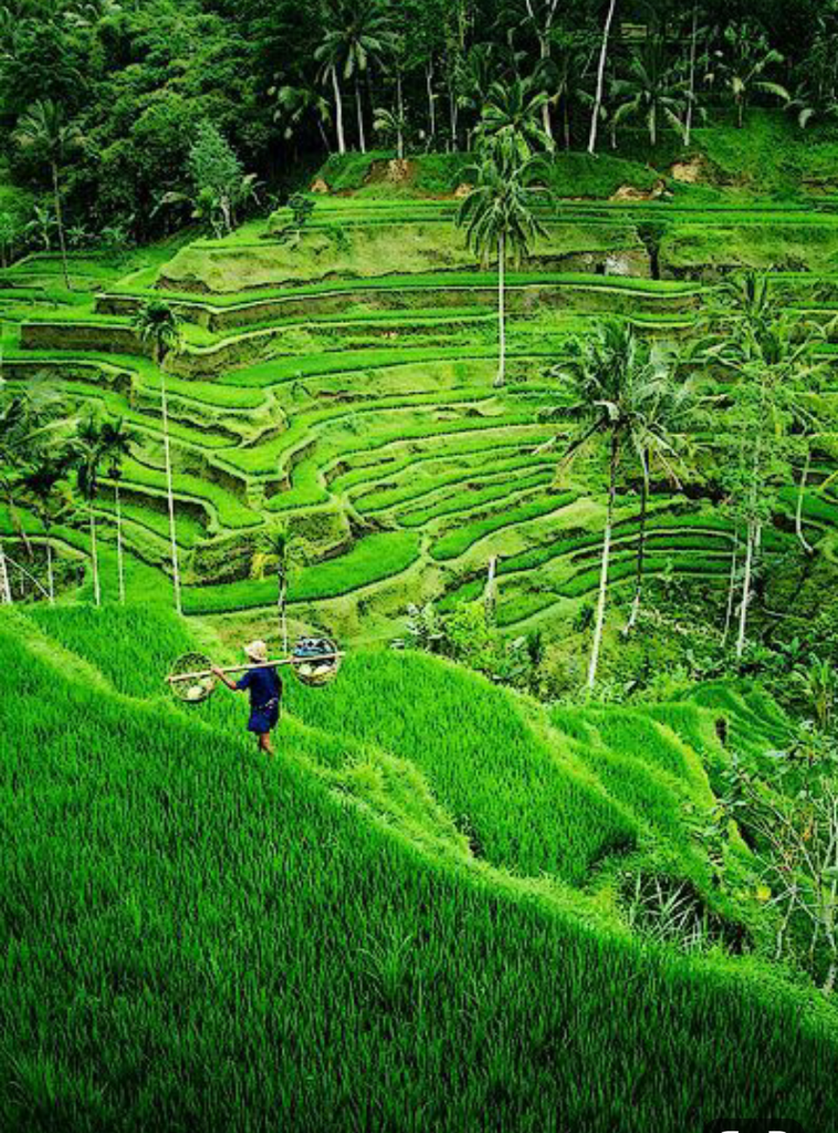 Riau Negeri di Atas Awan. Akankah Terus Seperti Ini? Miris