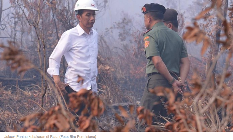 Jokowi Lihat Kebakaran Hutan, Malah Sepatunya yang Viral