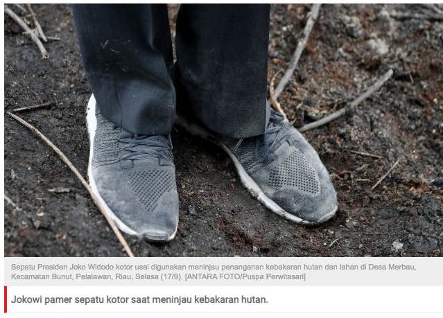 Jokowi Lihat Kebakaran Hutan, Malah Sepatunya yang Viral
