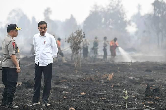 Tegas, Ini Cara Negeri Selangor Malaysia Menghukum Pelaku Pembakaran Hutan dan Lahan