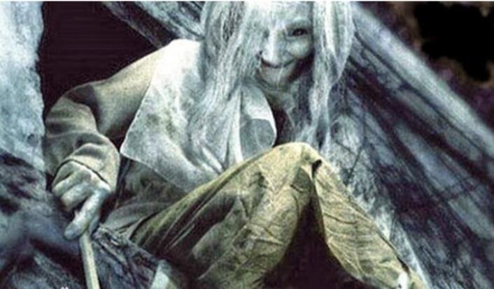 Dimensi Lain Hutan Gunung Banyak