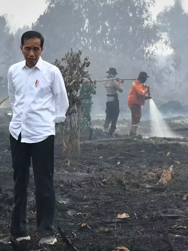 Upaya Jokowi Padamkan Api Kebakaran Hutan dan Lahan, Berhasilkah?