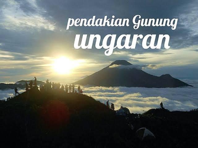 Akar Rimang Saat Mendaki Di Gunung Ungaran, Semarang