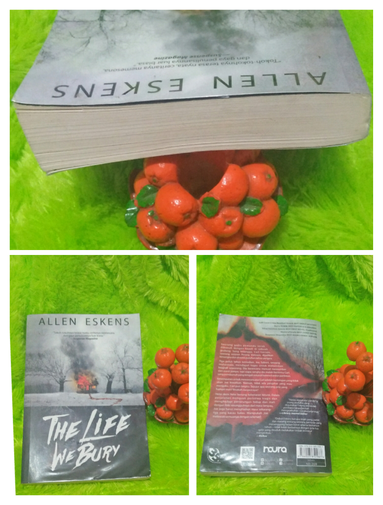 &#91;Review Novel Suspense&#93; The Life We Bury. Nove Peraih 5 Penghargaan