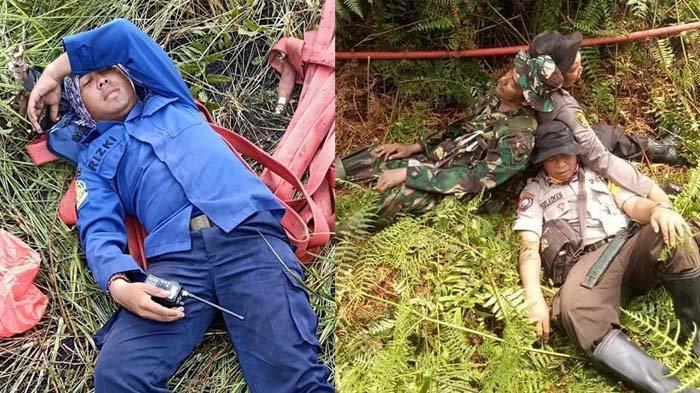 Beratnya Padamkan Karhutla, Spiderman pun Ikut Beraksi