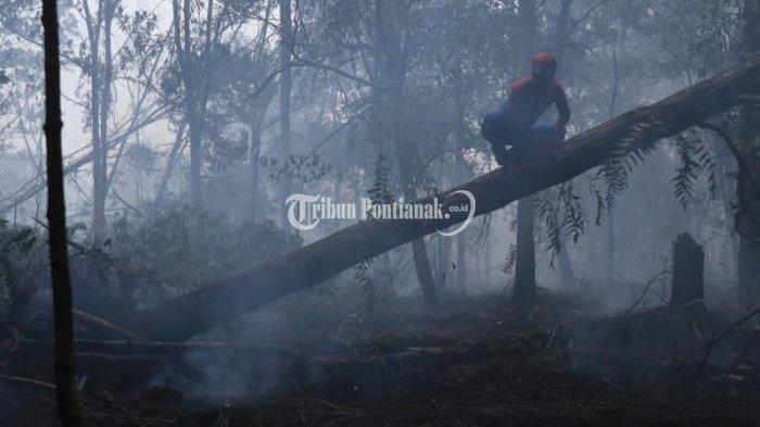 Beratnya Padamkan Karhutla, Spiderman pun Ikut Beraksi