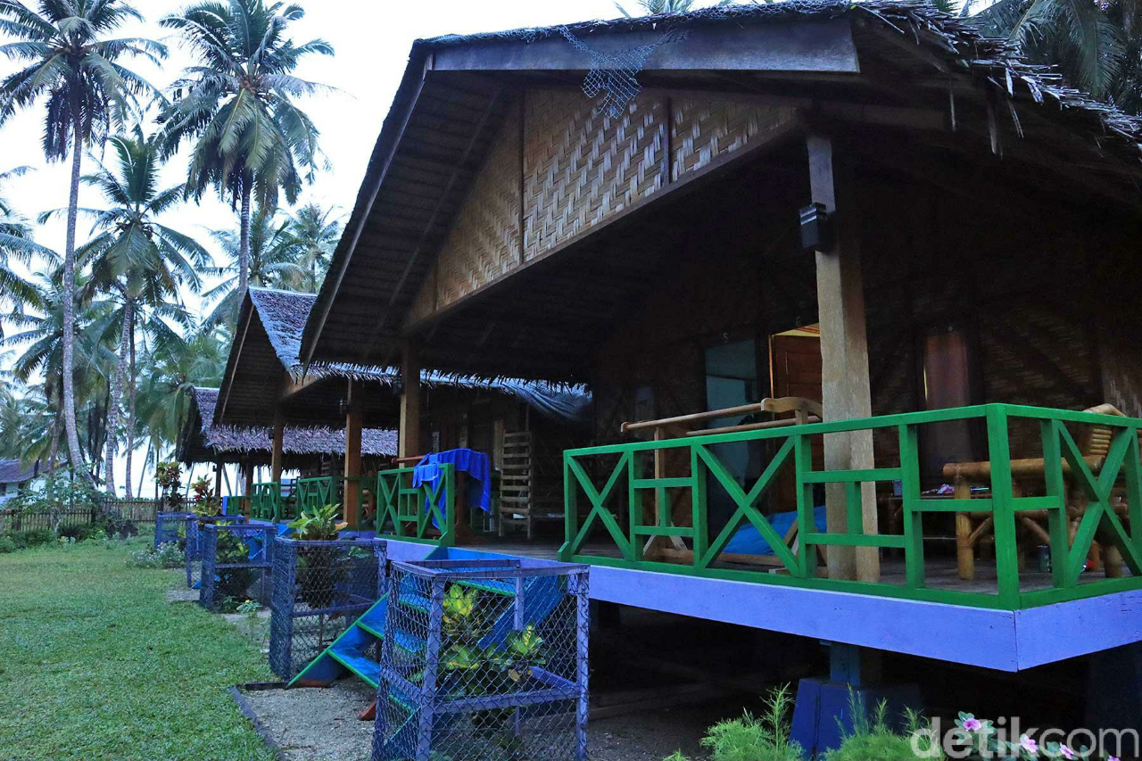 Suka Duka Putra Daerah Populerkan Surfing di Sinabang