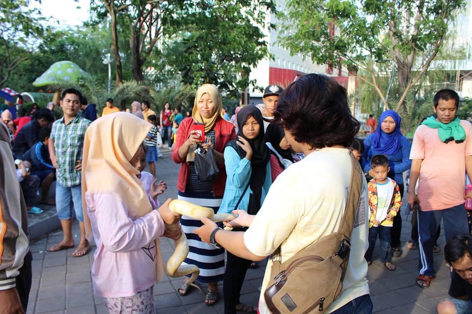5 Hal Nyeleneh Yang Cuma Ada Di Komunitas Reptil