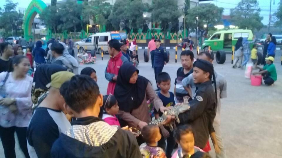 5 Hal Nyeleneh Yang Cuma Ada Di Komunitas Reptil