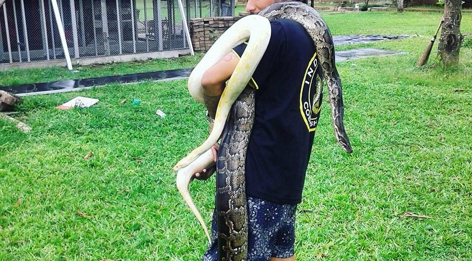 5 Hal Nyeleneh Yang Cuma Ada Di Komunitas Reptil