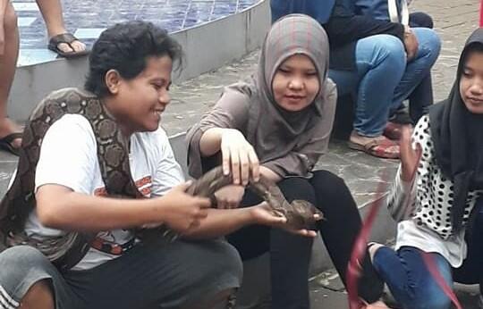 5 Hal Nyeleneh Yang Cuma Ada Di Komunitas Reptil
