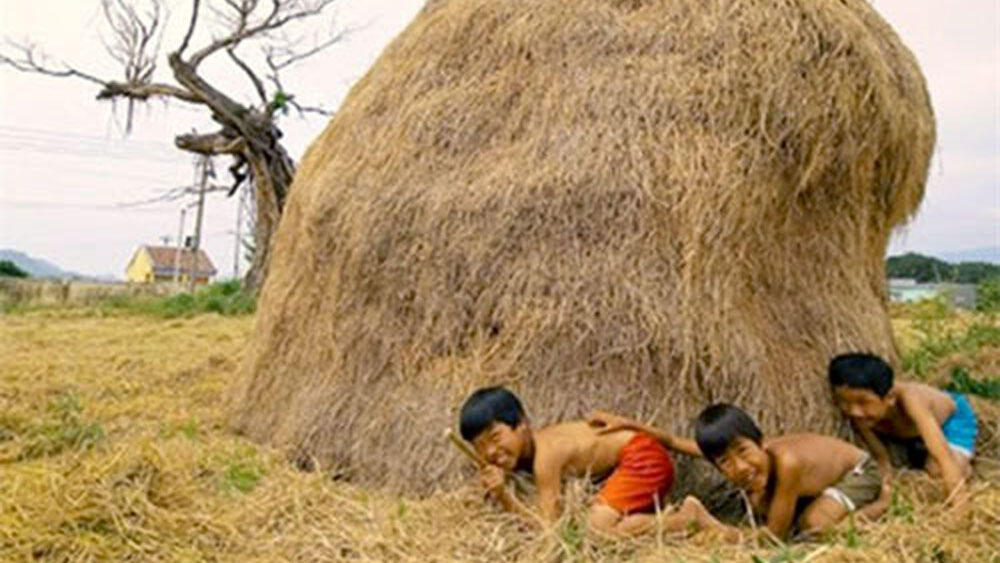 Flashback ke Masa Kecil, Bahagianya Makan di Sawah