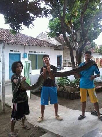 Komunitas Yang Mengajari Cara Untuk Mencintai Reptil