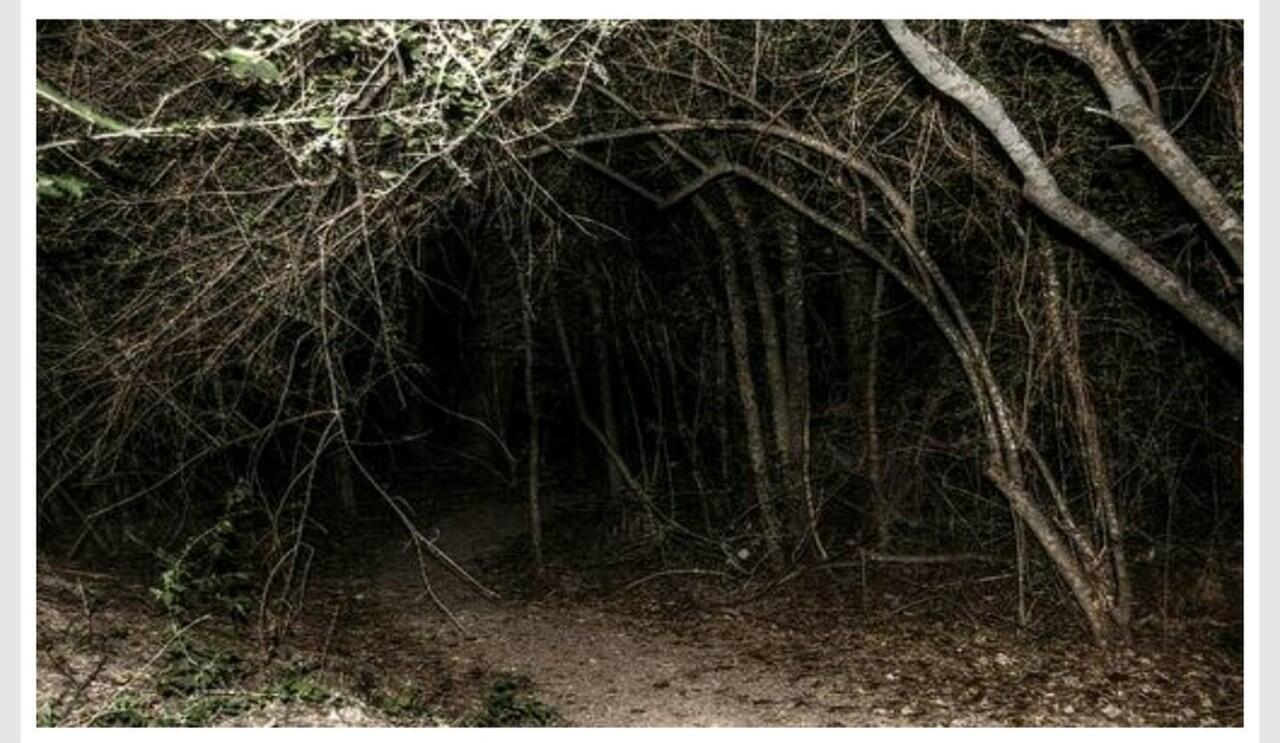 Misteri Perkemahan Di Gunung Singgih 19 Tahun Yang Lalu